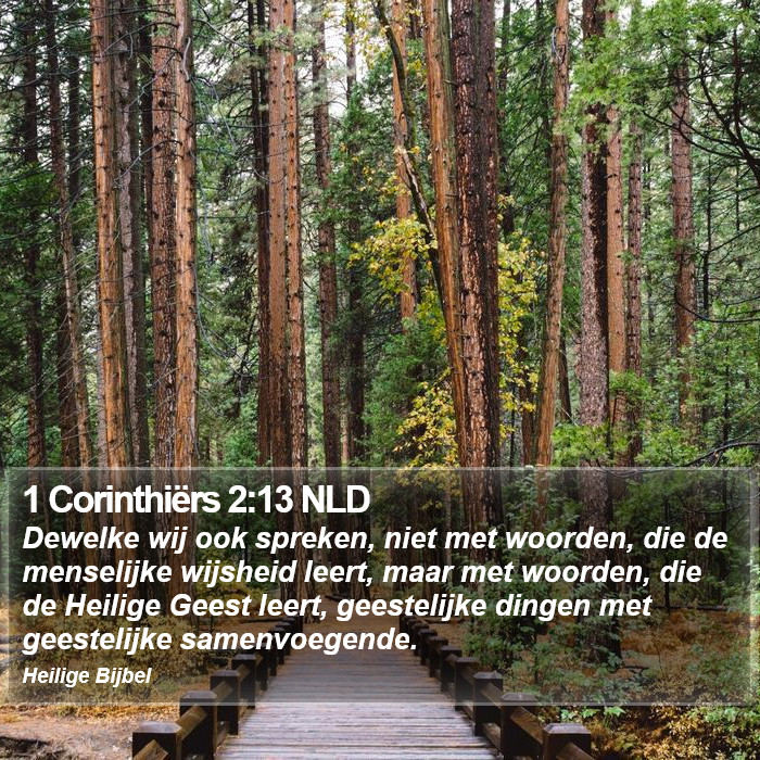 1 Corinthiërs 2:13 NLD Bible Study