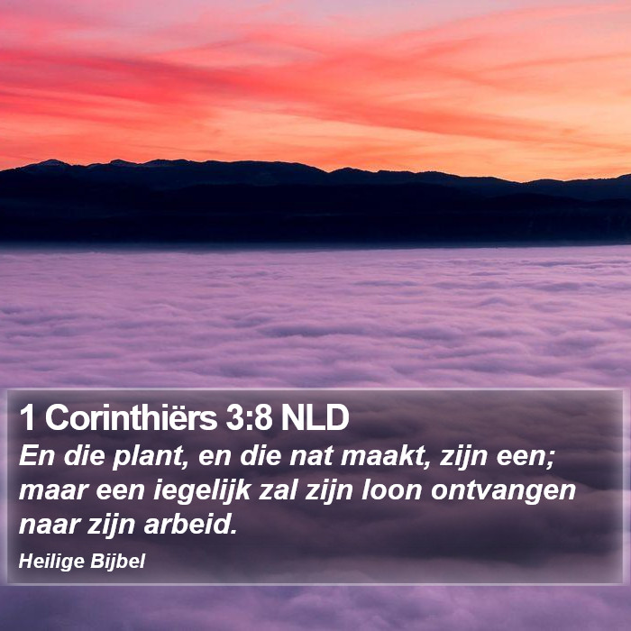 1 Corinthiërs 3:8 NLD Bible Study