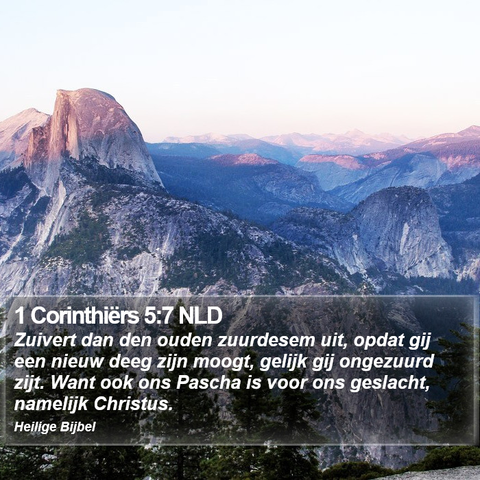 1 Corinthiërs 5:7 NLD Bible Study