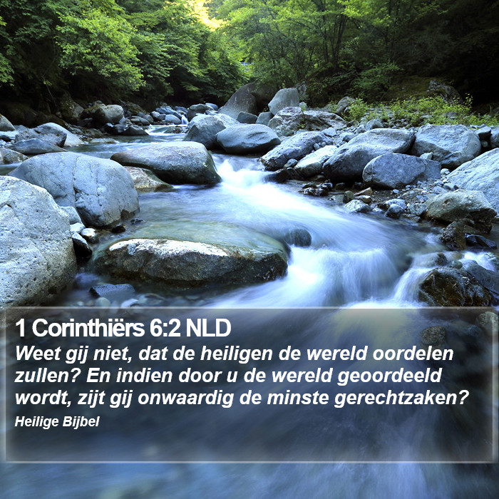 1 Corinthiërs 6:2 NLD Bible Study