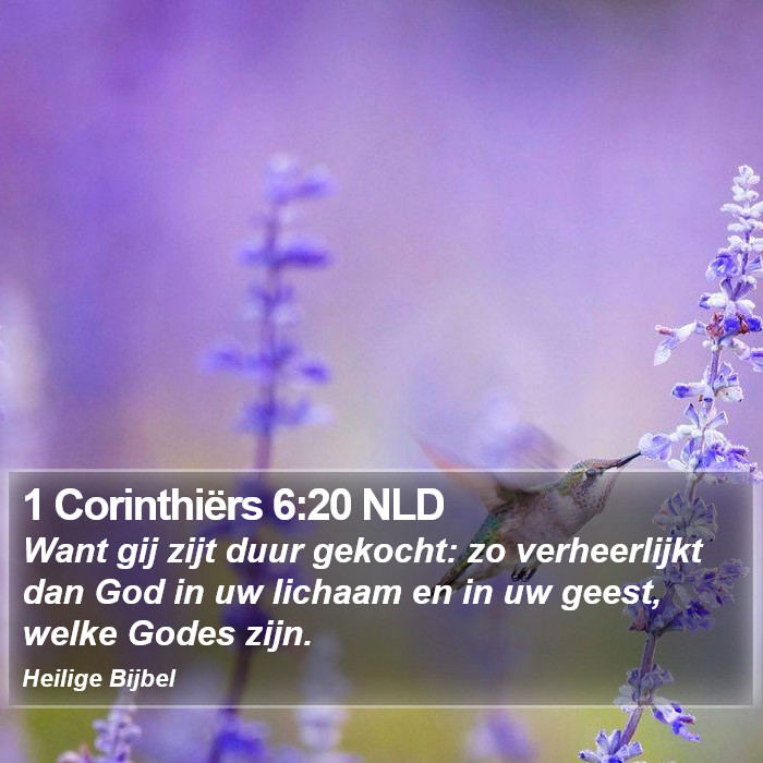 1 Corinthiërs 6:20 NLD Bible Study