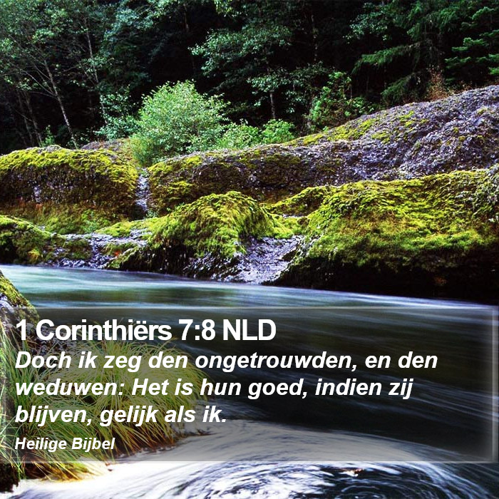 1 Corinthiërs 7:8 NLD Bible Study