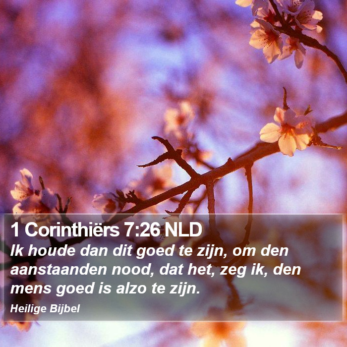1 Corinthiërs 7:26 NLD Bible Study