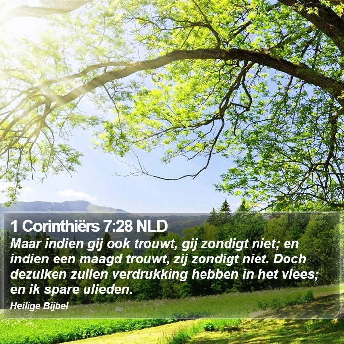 1 Corinthiërs 7:28 NLD Bible Study