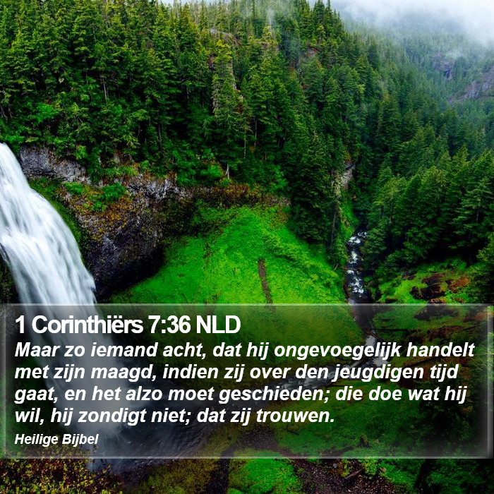 1 Corinthiërs 7:36 NLD Bible Study