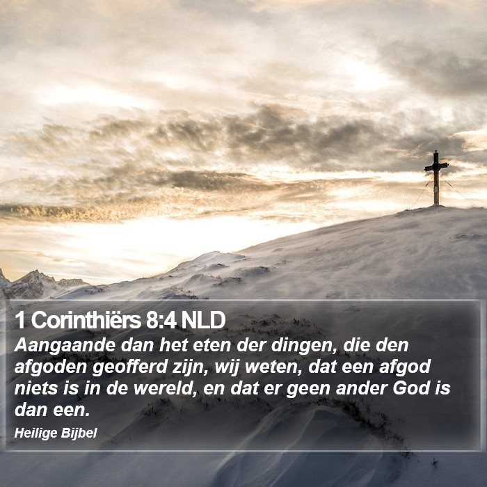 1 Corinthiërs 8:4 NLD Bible Study