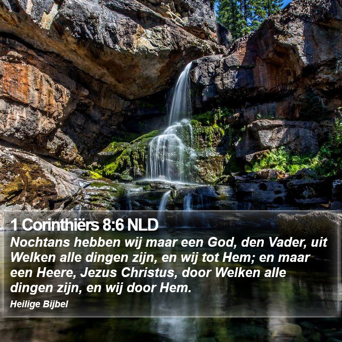1 Corinthiërs 8:6 NLD Bible Study