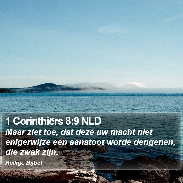 1 Corinthiërs 8:9 NLD Bible Study