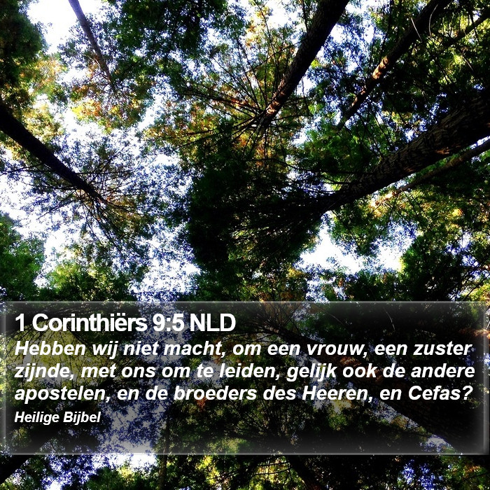 1 Corinthiërs 9:5 NLD Bible Study