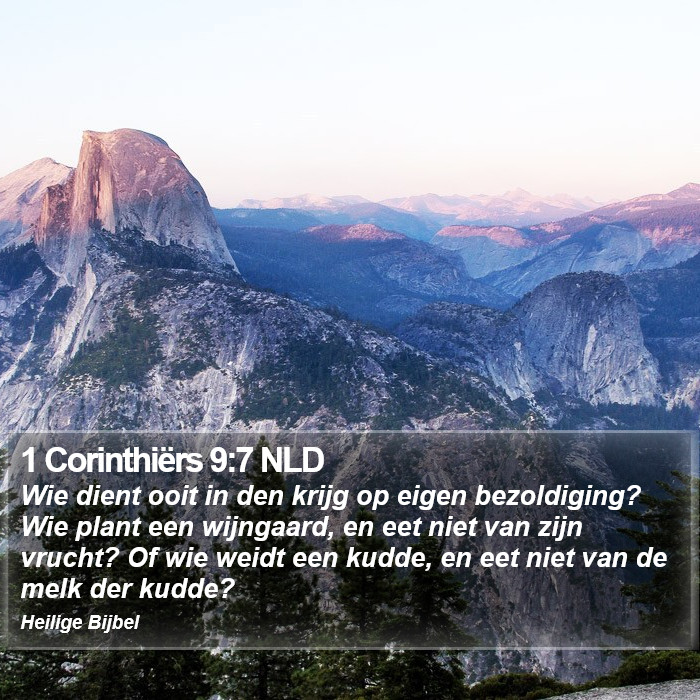 1 Corinthiërs 9:7 NLD Bible Study