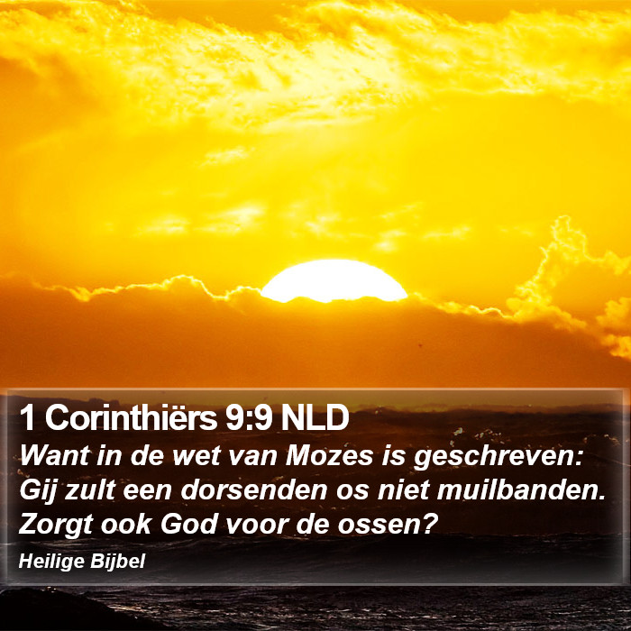 1 Corinthiërs 9:9 NLD Bible Study