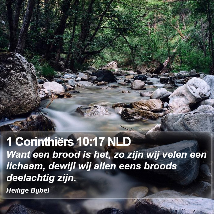 1 Corinthiërs 10:17 NLD Bible Study