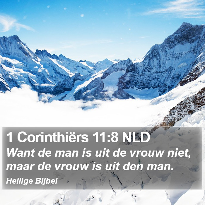 1 Corinthiërs 11:8 NLD Bible Study