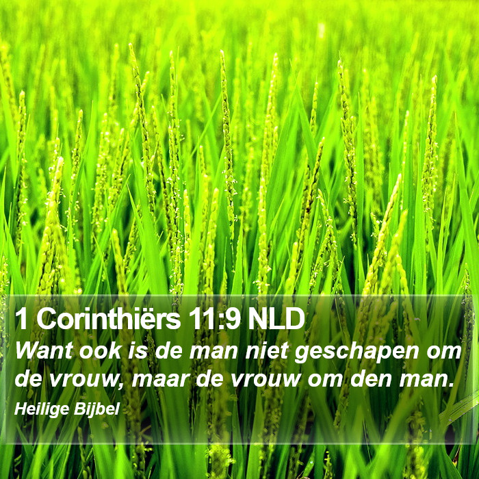 1 Corinthiërs 11:9 NLD Bible Study