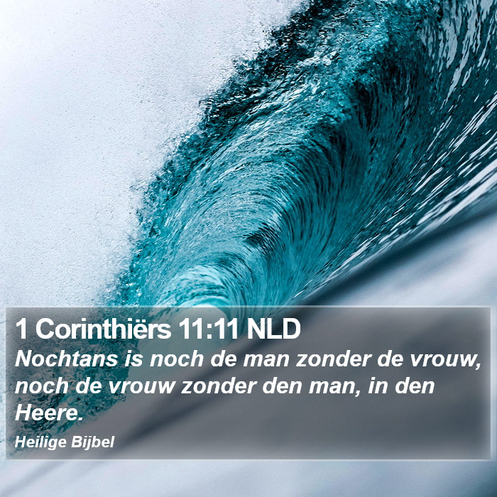 1 Corinthiërs 11:11 NLD Bible Study