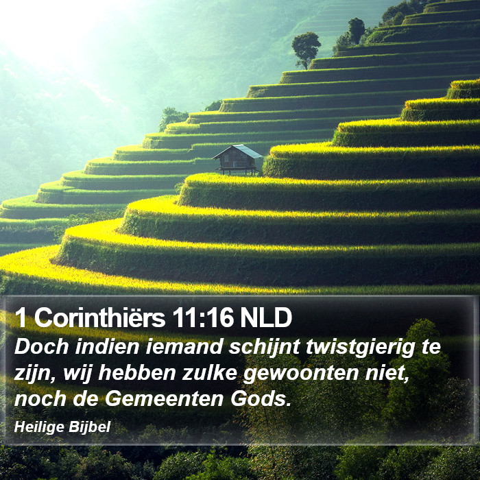 1 Corinthiërs 11:16 NLD Bible Study