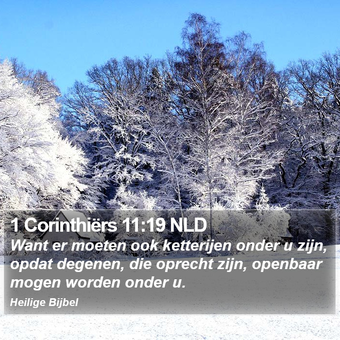 1 Corinthiërs 11:19 NLD Bible Study