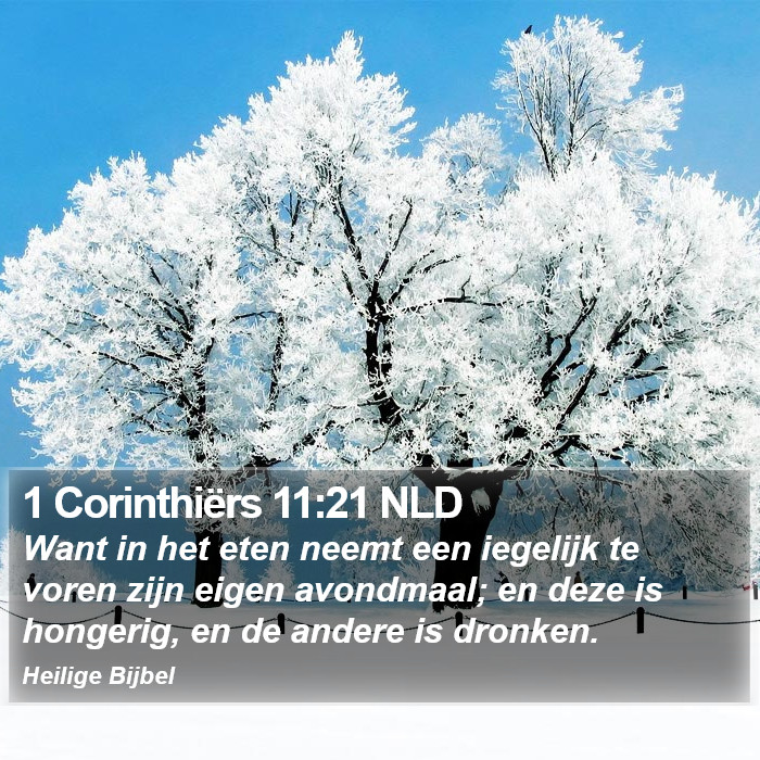 1 Corinthiërs 11:21 NLD Bible Study