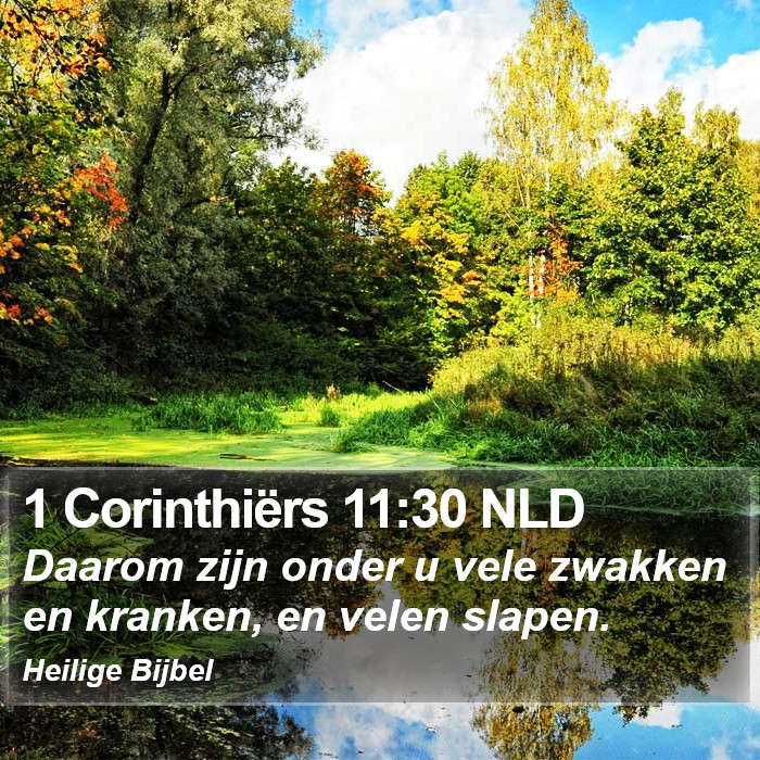 1 Corinthiërs 11:30 NLD Bible Study