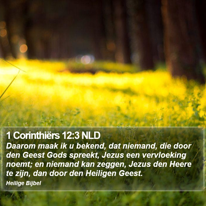 1 Corinthiërs 12:3 NLD Bible Study