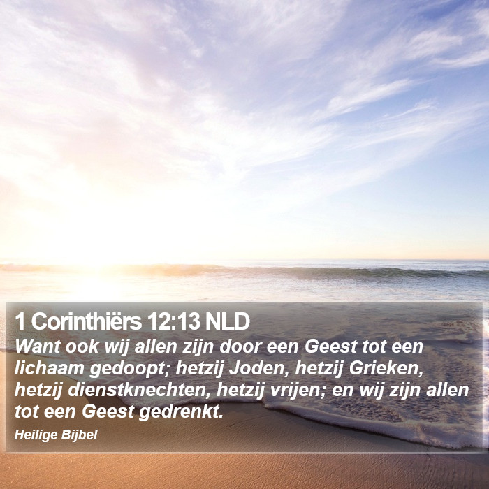 1 Corinthiërs 12:13 NLD Bible Study