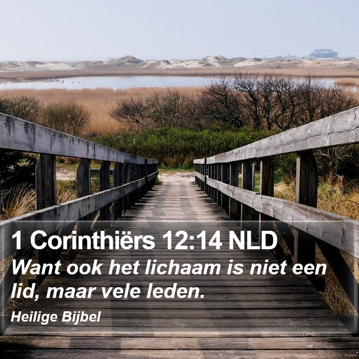 1 Corinthiërs 12:14 NLD Bible Study