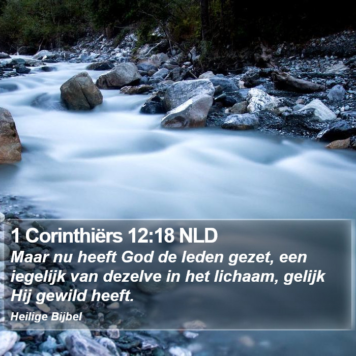 1 Corinthiërs 12:18 NLD Bible Study