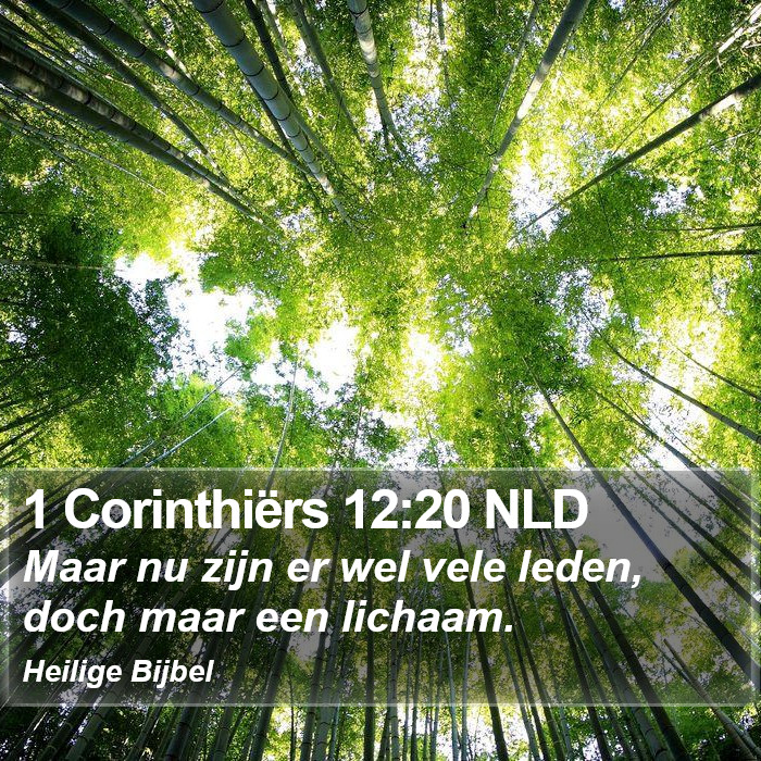 1 Corinthiërs 12:20 NLD Bible Study