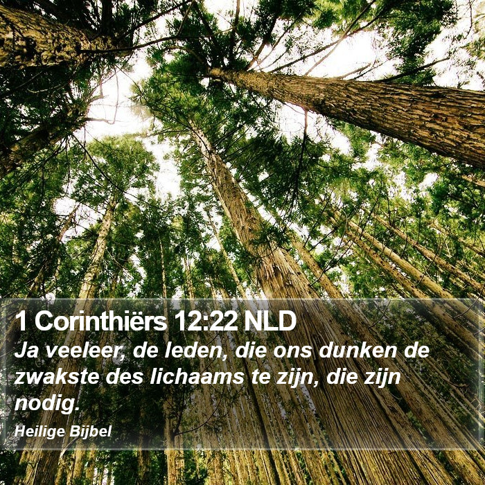 1 Corinthiërs 12:22 NLD Bible Study
