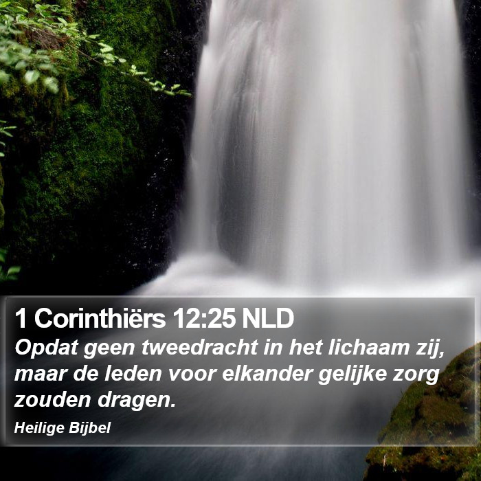 1 Corinthiërs 12:25 NLD Bible Study