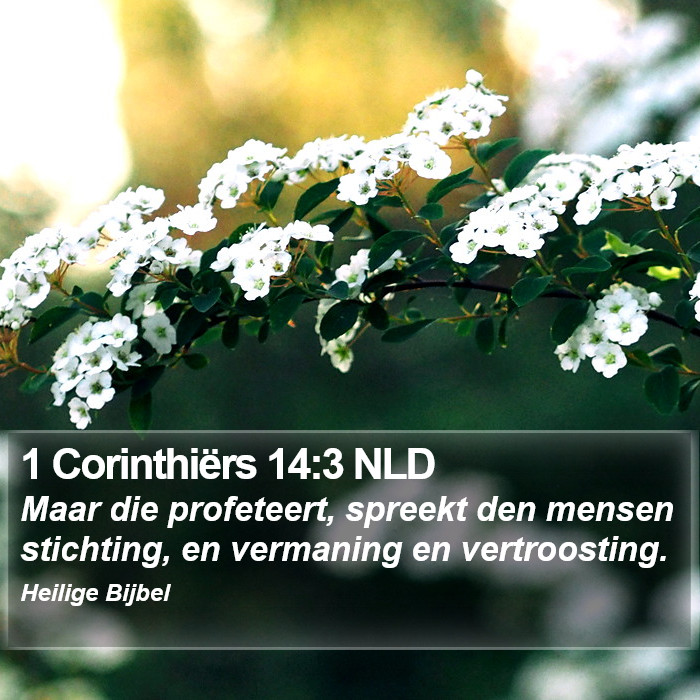 1 Corinthiërs 14:3 NLD Bible Study