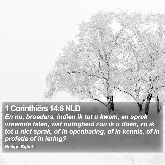 1 Corinthiërs 14:6 NLD Bible Study