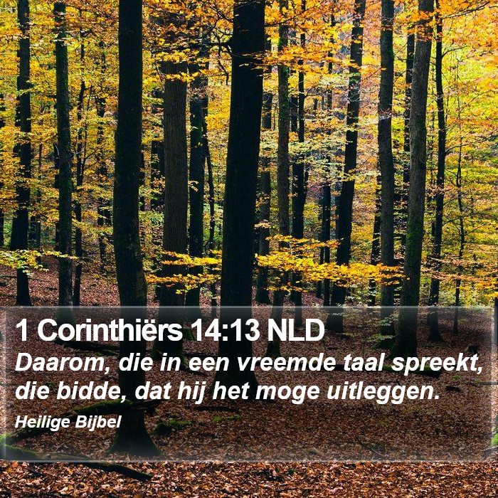 1 Corinthiërs 14:13 NLD Bible Study