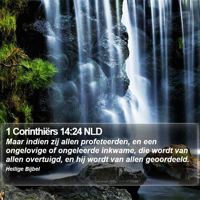 1 Corinthiërs 14:24 NLD Bible Study