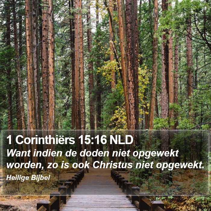 1 Corinthiërs 15:16 NLD Bible Study