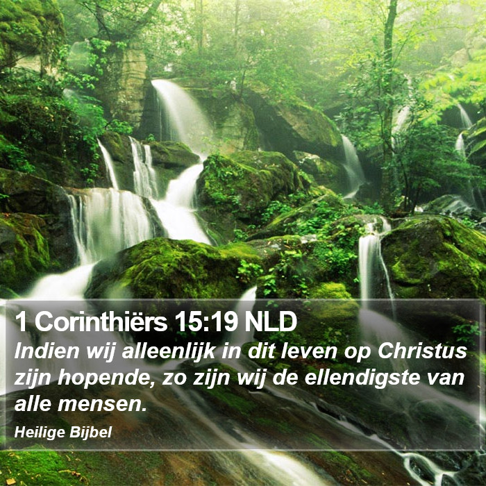 1 Corinthiërs 15:19 NLD Bible Study