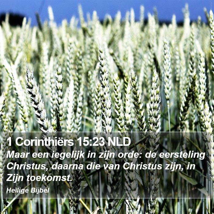 1 Corinthiërs 15:23 NLD Bible Study