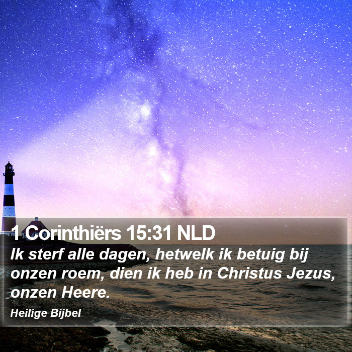 1 Corinthiërs 15:31 NLD Bible Study
