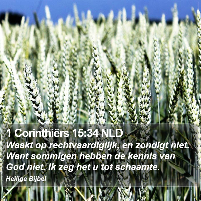 1 Corinthiërs 15:34 NLD Bible Study