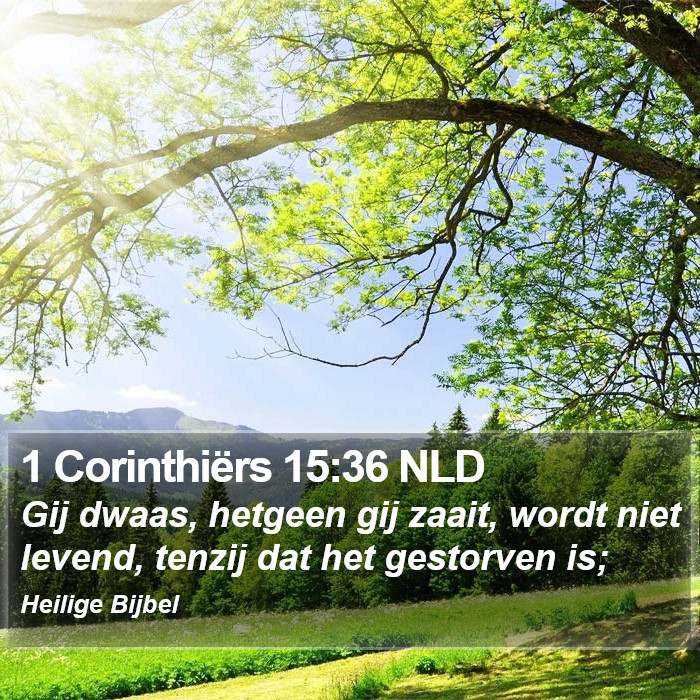1 Corinthiërs 15:36 NLD Bible Study