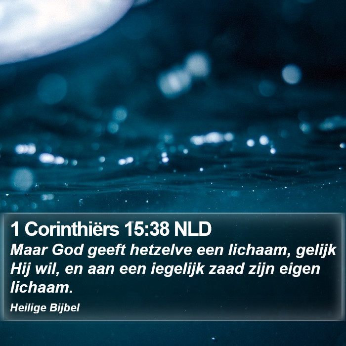 1 Corinthiërs 15:38 NLD Bible Study