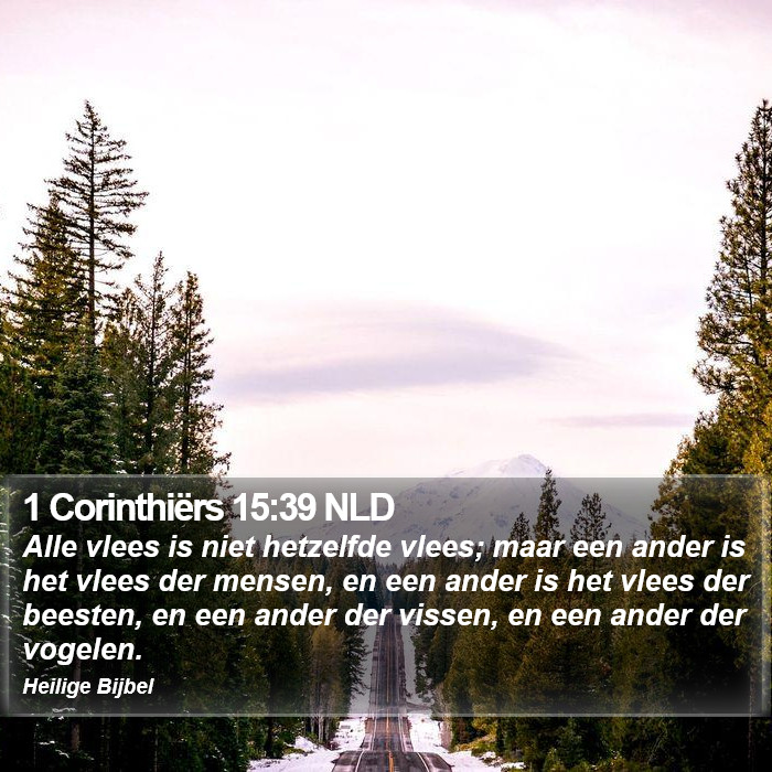 1 Corinthiërs 15:39 NLD Bible Study