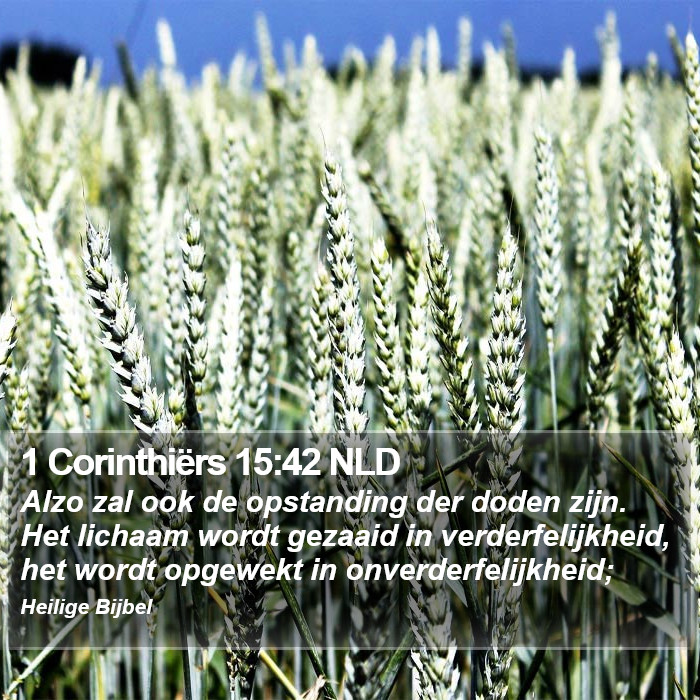 1 Corinthiërs 15:42 NLD Bible Study
