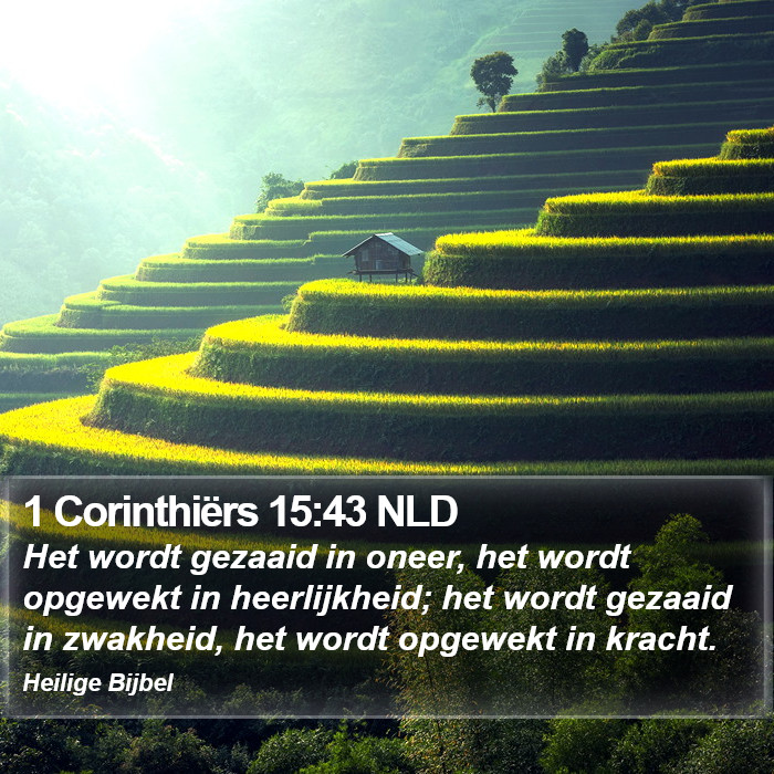 1 Corinthiërs 15:43 NLD Bible Study