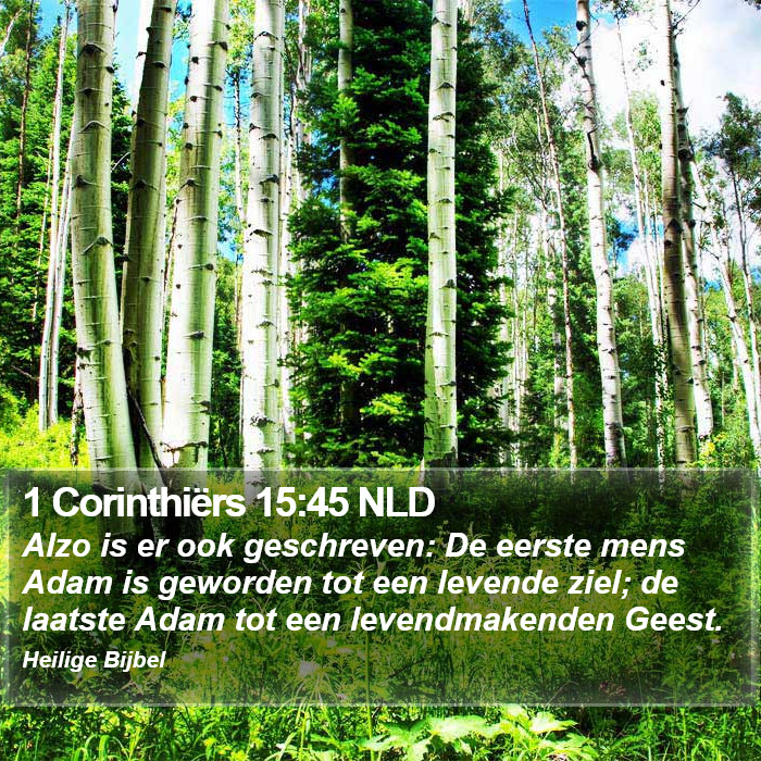 1 Corinthiërs 15:45 NLD Bible Study