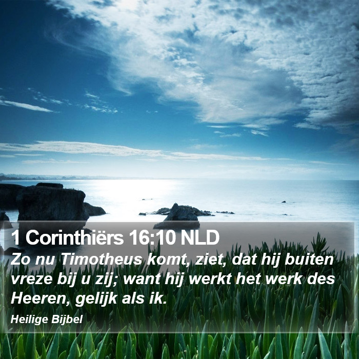 1 Corinthiërs 16:10 NLD Bible Study
