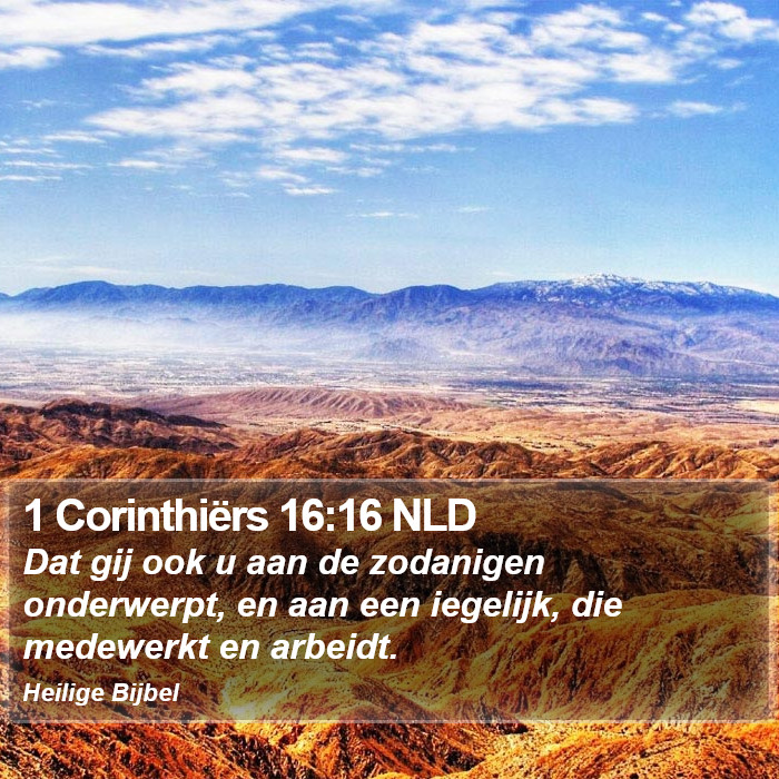 1 Corinthiërs 16:16 NLD Bible Study
