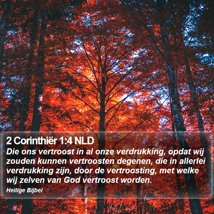 2 Corinthiër 1:4 NLD Bible Study