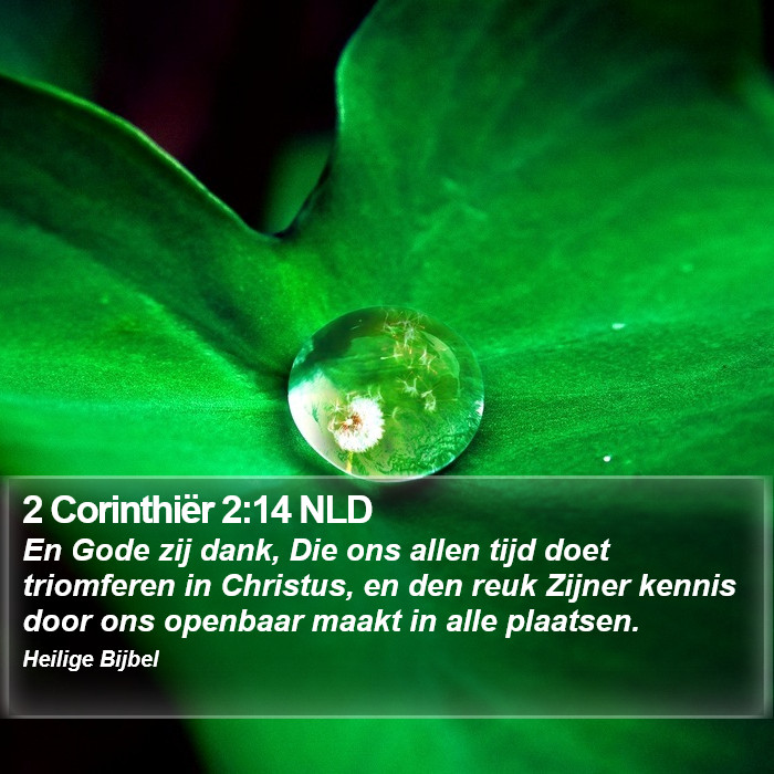 2 Corinthiër 2:14 NLD Bible Study