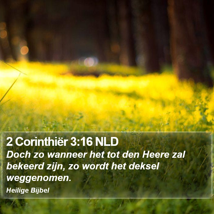 2 Corinthiër 3:16 NLD Bible Study
